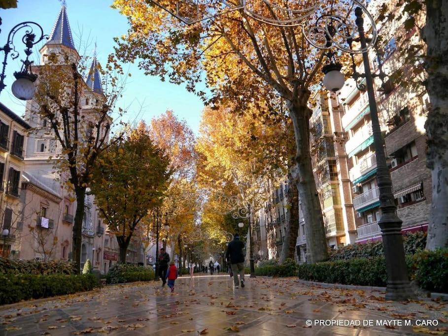 Center Wifi Parking Free Apartment Granada Exterior photo